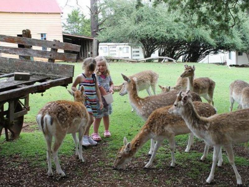 Deer Park Motor Inn Armidale Eksteriør billede